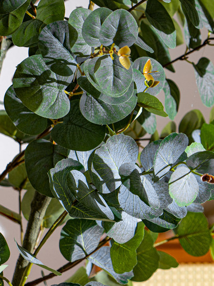 Sen Yicheng Artificial Gray-White Eucalyptus Green Plant Fake Tree Potted Plant Indoor Living Room Shop Window Decoration Ornament