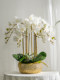 Moisturizing Phalaenopsis Artificial Flower Arrangement for Hotel Front Desk, Indoor Living Room, Entrance Decoration, Floral Display