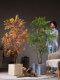 High-End Large Artificial Nandina Bamboo Tree, Realistic Green Plant, Faux Flower, Light Luxury Indoor Floor-Standing Decorative Landscaping Ornament