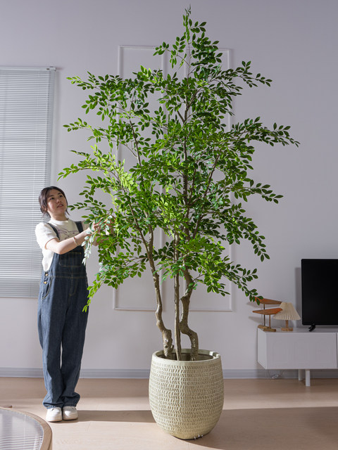 High-End Artificial Large Elm Money Tree, Money Banyan, Bionic Green Plant, Fake Tree, Indoor Living Room Landscaping Plant Decoration Ornament
