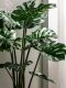Artificial Monstera Bonsai Fake Tree Potted Plant Indoor Living Room Shop Landscaping Biomimetic Green Plant Decoration Ornament