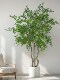 Large Artificial Elm Money Tree Green Plant, Fake Nandina Bamboo Tree for Indoor Living Room, Shop Window Decoration, Floor-Standing Ornament