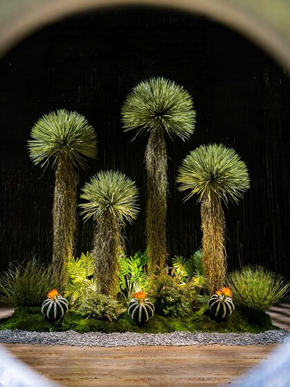 Light Luxury High-End Artificial Green Plant Dracaena Millenaria Fake Tree Indoor Living Room Decoration Floor-Standing Ornament Potted Plant