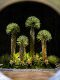 Light Luxury High-End Artificial Green Plant Dracaena Millenaria Fake Tree Indoor Living Room Decoration Floor-Standing Ornament Potted Plant