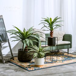 High-End Realistic Dragon Blood Tree Agave Artificial Tree Green Plant Potted Indoor Living Room Landscaping Decoration Ornament