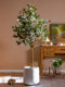 Sen Yicheng Artificial Gray-White Eucalyptus Green Plant Fake Tree Potted Plant Indoor Living Room Shop Window Decoration Ornament