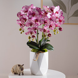 New High-End Artificial Phalaenopsis Orchid Flowers, Faux Floral Arrangements, Bionic Decorations for Living Room, Dining Table, Tv Cabinet, Flower Arrangement Decorations