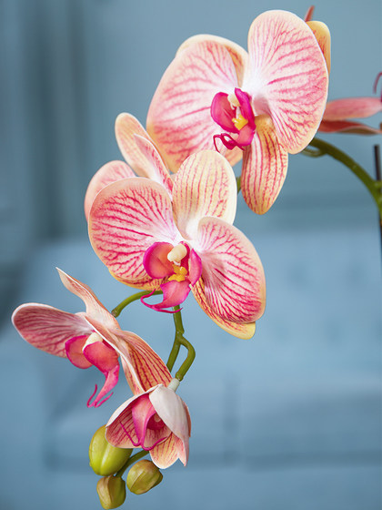 High-End Artificial Phalaenopsis Orchid Flower Arrangement Potted Plant Fake Flowers for Living Room Coffee Table Dining Table Decoration Ornaments