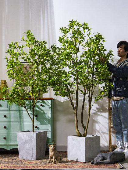 High-End Artificial Tree Japanese Bellflower and Horse-Dranker Tree Green Plant Potted Plant Artificial Tree Indoor Living Room Decoration Ornament