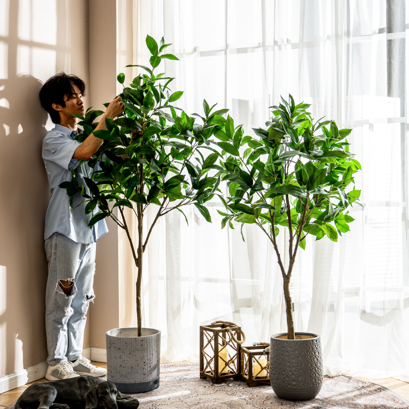 Highly Realistic Artificial Money Tree Green Plant Potted Plant, Faux Tree Plant for Indoor Living Room and Window Decoration Highly Realistic Artificial Money Tree Green Plant Potted Plant, Faux Tree Plant for Indoor Living Room and Window Decoration
