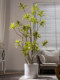 Artificial Green Plant Lily Bamboo Indoor Living Room Large Floor-Standing Ornament Fake Tree High-End Bionic Plant Tree Landscaping