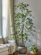Simulated Green Plant Nandina Bamboo High-End Light Luxury Indoor Large Artificial Tree Plant Floor-Standing Decoration Living Room Tree