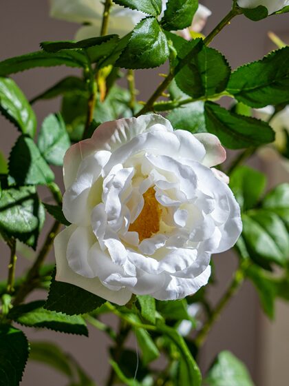 High-End Rose Camellia Floor-Standing Decorative Flowers, Simulated High-End Living Room Plastic Fake Flowers, Fake Trees and Green Plants