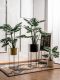 Artificial Monstera Bonsai Fake Tree Potted Plant Indoor Living Room Shop Landscaping Biomimetic Green Plant Decoration Ornament