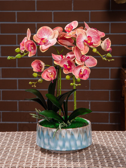 High-End Artificial Phalaenopsis Orchid Flower Arrangement Potted Plant Fake Flowers for Living Room Coffee Table Dining Table Decoration Ornaments