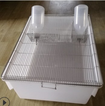 H-5大小鼠动物笼具饲养笼 动物实验笼