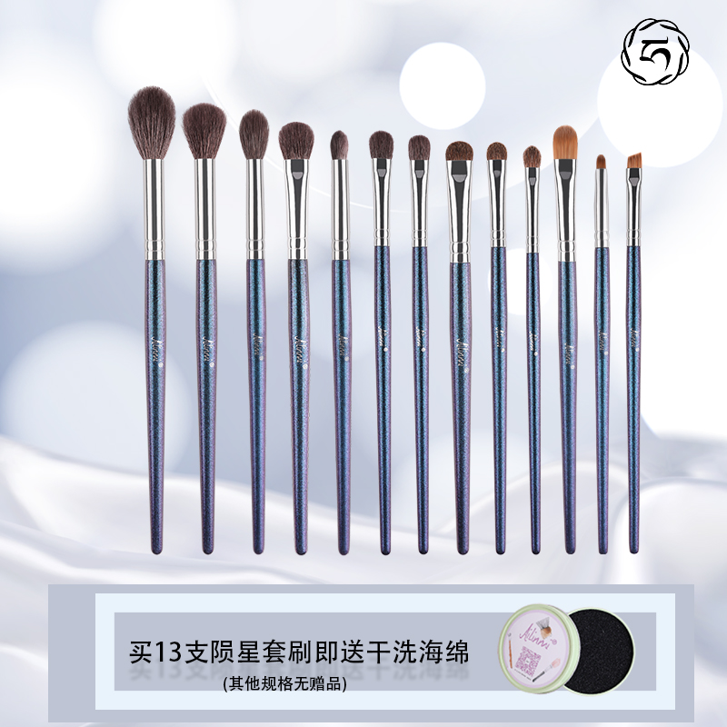 Eilein) AILINMI Meteoric Color Series 13 Makeup Brush Sets Animal Fur Eye Shadow Brush nose Eyebrow Brush