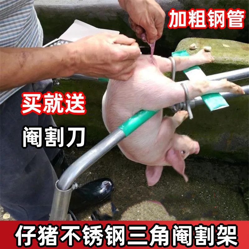 Stainless Steel Castration Pig Rack Castration Shelf Small Pig Castration Pig Tripod Castration piglet with castration pig castration Pig Knife Direct