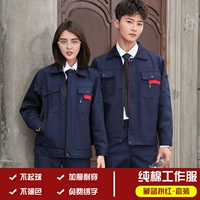 Маленькая молния тибетская синяя кровя