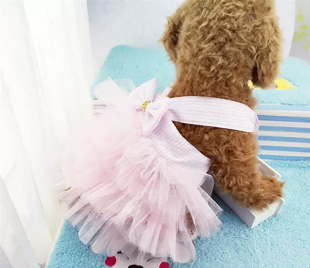 Quần áo chó mỏng mùa hè cún con Teddy Bomei mùa hè mèo cưng váy mùa hè công chúa lông mịn - Quần áo & phụ kiện thú cưng