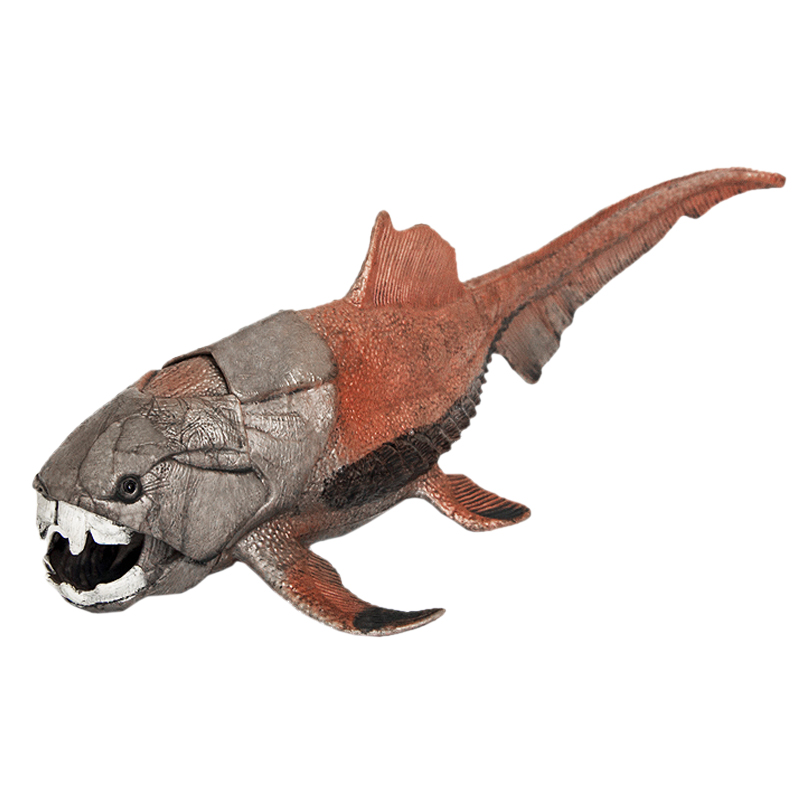 dragon fish toy