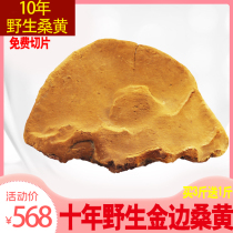 Mulberry yellow wild premium 500g Mulberry yellow efficacy of Traditional Chinese medicine substitute tea Tibet Autonomous Region natural 10 years