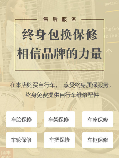 Su Huang Lightweight Bicycle for Adults, Men and Women, for Commuting to Work, Variable Speed, Retro Solid Tire Student Bicycle