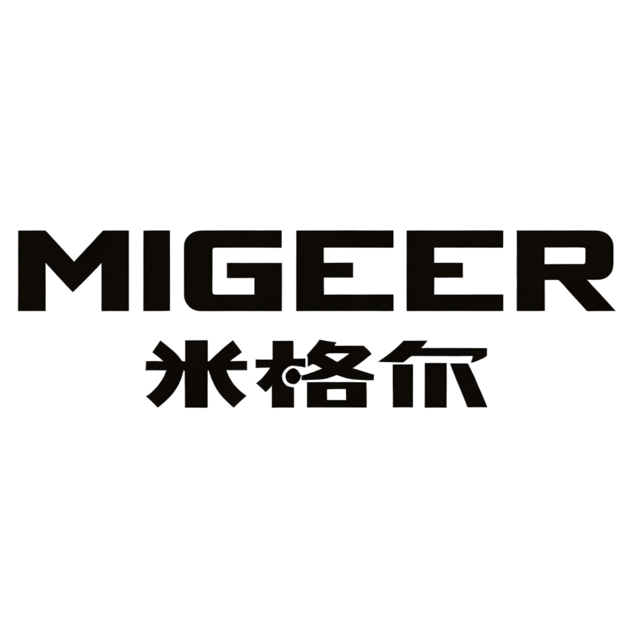 健龙米格尔体育用品工厂店的LOGO