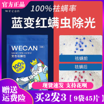 VECAN Vikom visible plant discoloration with mite-coated mite for the mite-removal of the mite the effect is visible and gentle