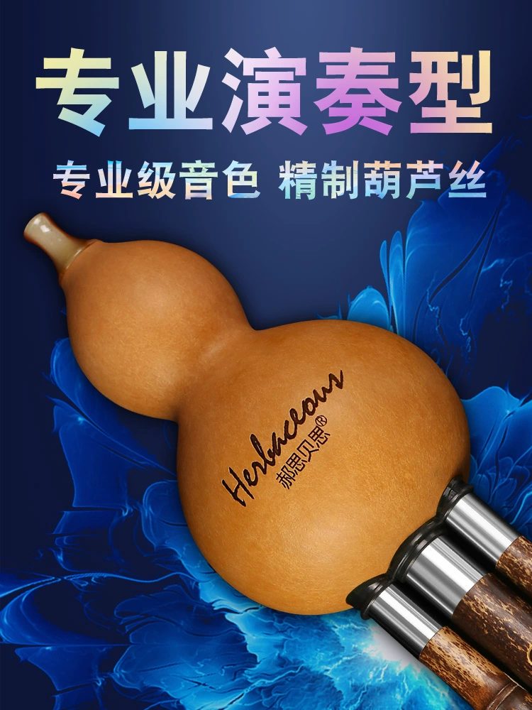 Hao Sibeis chính hãng, một thương hiệu lớn của nhạc cụ bầu bí, C down và B down, biểu diễn sân khấu chuyên nghiệp để thi thu âm - Nhạc cụ dân tộc