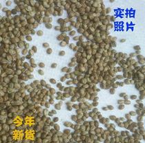 Hemp parrot spicy mouth bird food wax mouth handmade hopper Hemp Ren Wen bird nutrition Small and medium grain grain grain grain grain