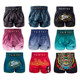 Fairtex Boxing Shorts for Adults and Men, Sanda Fighting Training Sports Equipment, Muay Thai Pants
