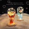 Christmas Creative High-End Starry Sky Crystal Rose Eternal Flower Bouquet Night Light Ornament Best Friend Girl Birthday Gift