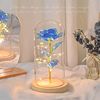 Christmas Creative High-End Starry Sky Crystal Rose Eternal Flower Bouquet Night Light Ornament Best Friend Girl Birthday Gift
