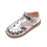 Космическое серебро