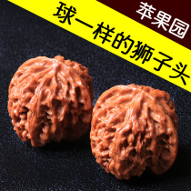 Apple Orchard walnut play ball type pair of stuffy-pointed lion head hand play walnut Apple Orchard lion head boutique