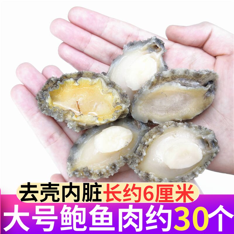 One meter fishing fresh abalone meat frozen to shell large seafood frozen aquatic Fujian Buddha Jumping Wall Raw Materials Commercial