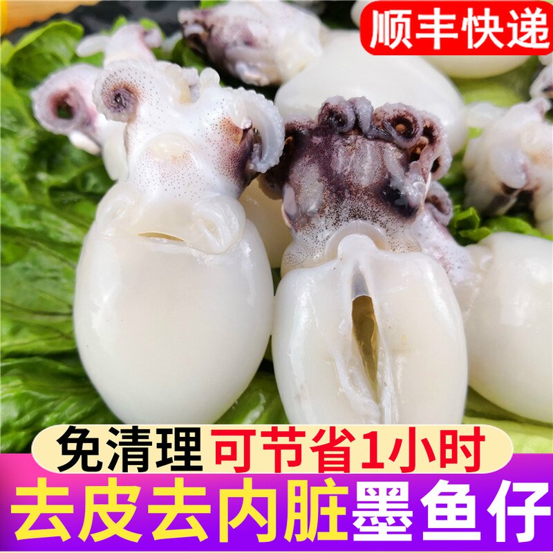Fresh frozen cuttlefish baby Fresh frozen fresh seafood Fresh cuttlefish mesh small squid small cuttlefish cub commercial wholesale