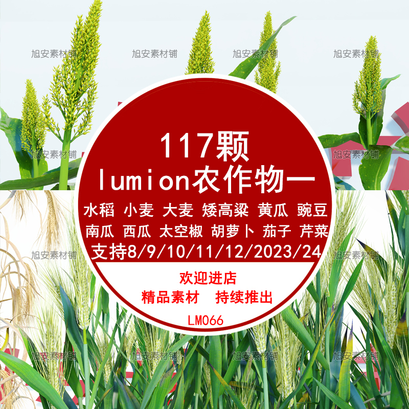 Lumion8/9/10/11/12/2023/2024 Crops Wheat Rice Sorghum Carrot Watermelon