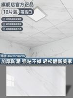 Морозно-белый Ⓜ️️️️40см*80см/шт [10 шт ≈ 3,2 кв.м]