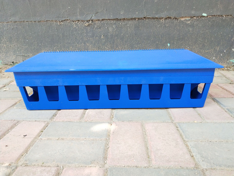 Nguồn cung cấp chim bồ câu / thư cung cấp chim bồ câu / thư chim bồ câu / thư chim bồ câu gỗ máng rắn / hộp đựng thức ăn nhựa chim bồ câu - Chim & Chăm sóc chim Supplies các loại máng ăn cho gà