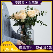 Foreign trade solitary vase Nordic transparent glass vase ornaments decoration simple living room flower arrangement hydroponic vase