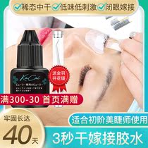 Japans Meizu shop teacher special with grafting eyelash glue 3 seconds quick-drying long-lasting super-sticky solid professional vinyl