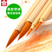 Imported Japanese cherry blossom face color painting pen brush brush art student special painting tool water soluble color lead color pen watercolor pen water chalk acrylic paint brush detail hook brush