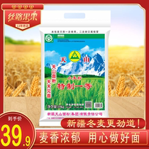 Xinjiang Tianshan Flour 5kg 10 catty Heathen Hills Special First-class Flour Bunko Lanoodles Dumplings Winter Wheat Flour