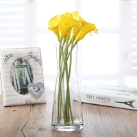 Nhỏ tươi và đơn giản sáng tạo corset bình thủy tinh cắm hoa phòng khách trang trí nhà trang trí thủy canh hoa khô - Vase / Bồn hoa & Kệ chậu trồng cây thông minh