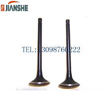 Bashan Longxin Lion Runs Erte Beauty Brand New Exhaust Accessories Beach Car Cross-country Construction atv400 Valves