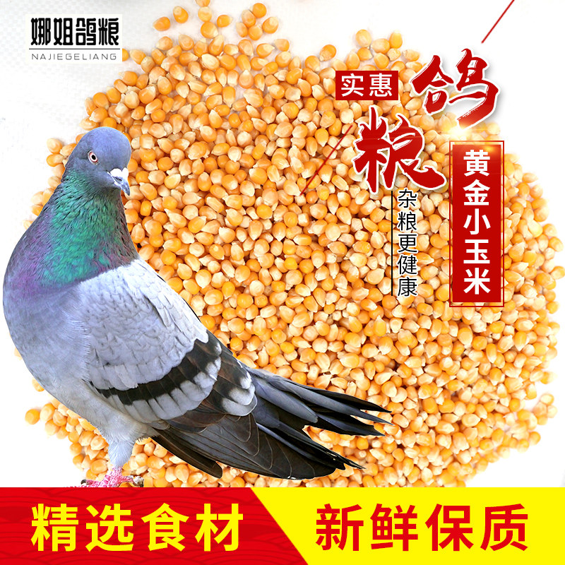 10 catty gold Corn Bird Eating Race Fly Feed Letter Watch Pigeon Grain Racing Exclusive 19 Province