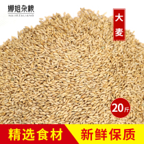20kg of barley farm barley can germinate barley barley tea barley wine feeding pigeons and other poultry grain