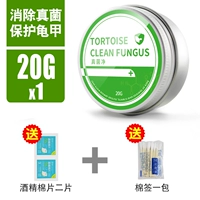 Грибковая сеть [20G]